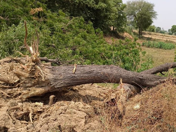 फिर सुर्खियों में आया डालमिया फार्म हाउस की विवादित जमीन का मामला